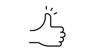 Icon Bester Preis Garantie