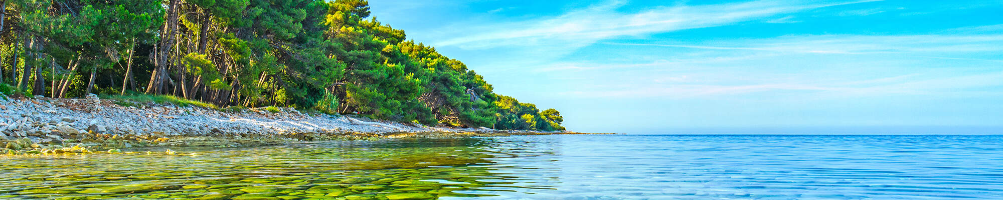 Grüne Bäume direkt bis ans Ufer